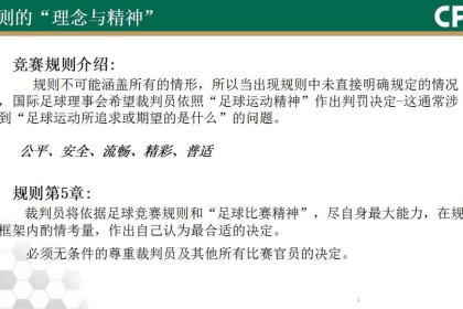  意甲新规引争议，VAR判定标准遭炮轰  